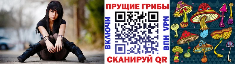 блэк спрут онион  что такое   Переславль-Залесский  Псилоцибиновые грибы MAGIC MUSHROOMS 